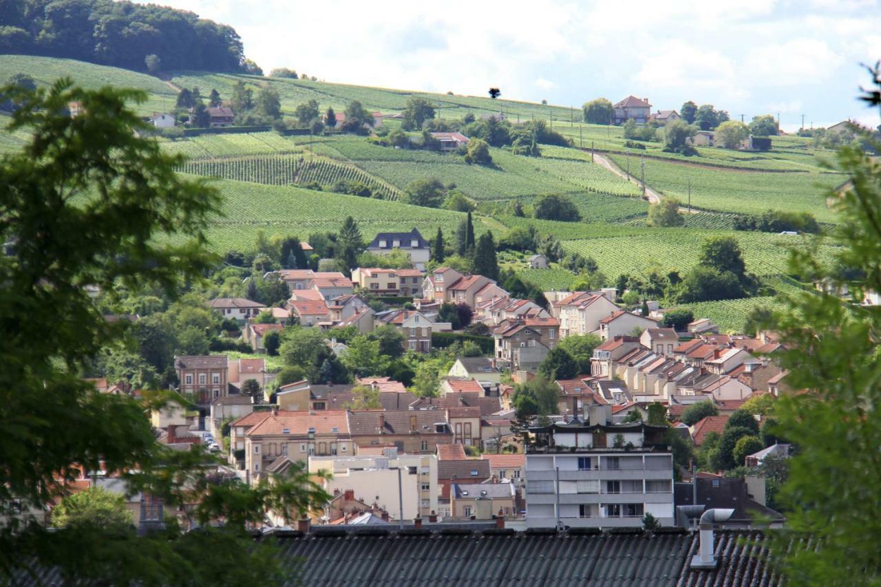 La Villa Geiss Epernay Bagian luar foto