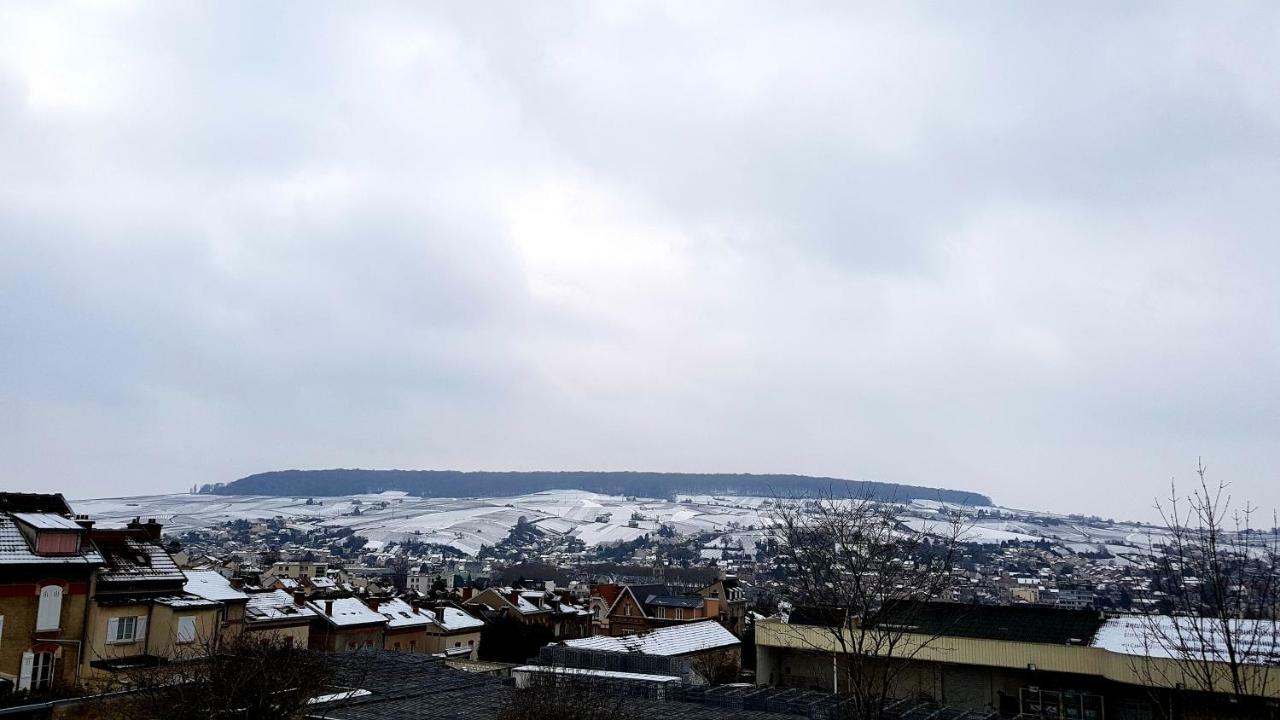 La Villa Geiss Epernay Bagian luar foto